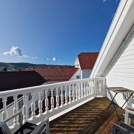 公寓 Toppleilighet Dr Holms 耶卢