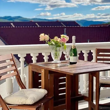 Toppleilighet Dr Holms 耶卢